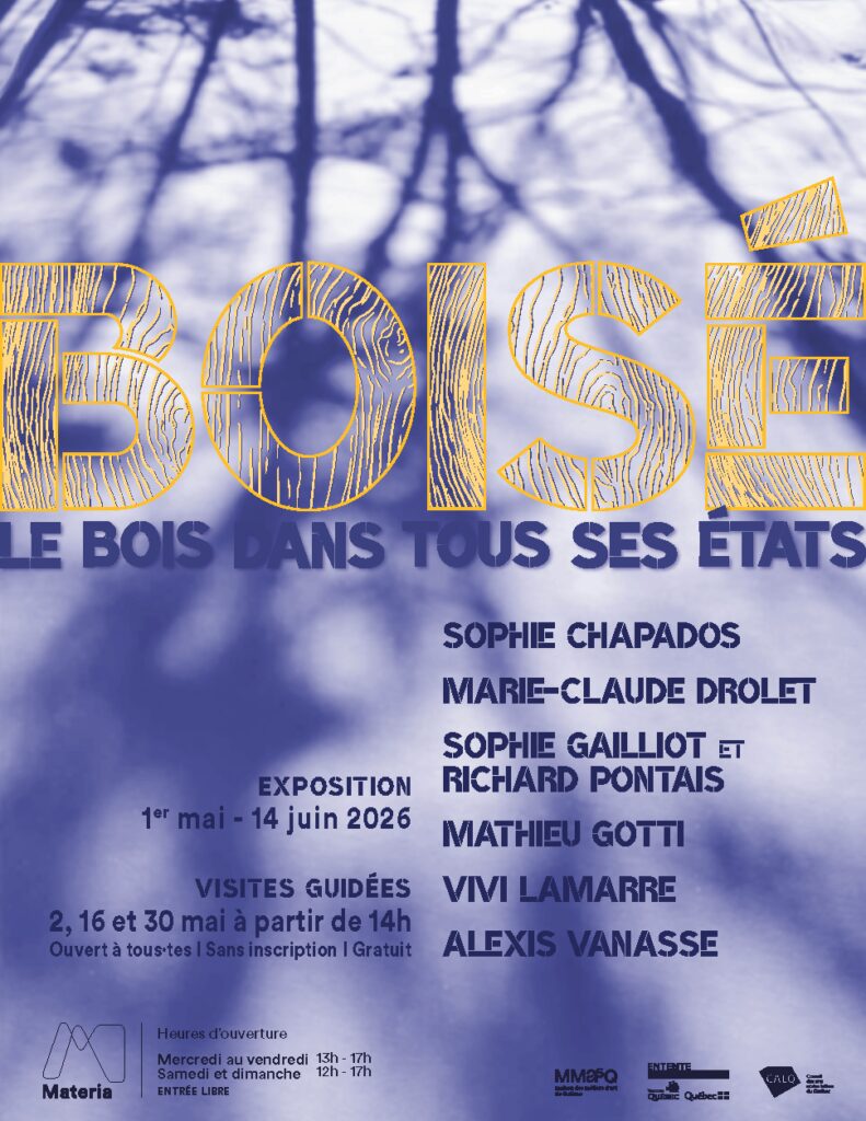 Boise affiche 85X11 visites